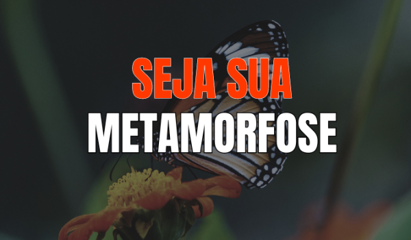 Seja Sua Metamorfose